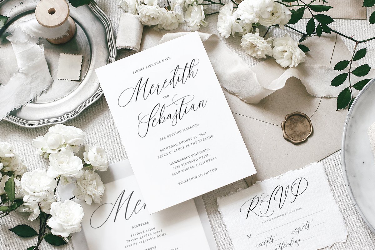 Frances Modern Calligraphy Script Font