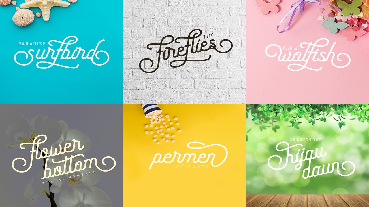 Freeday Script Sans Font