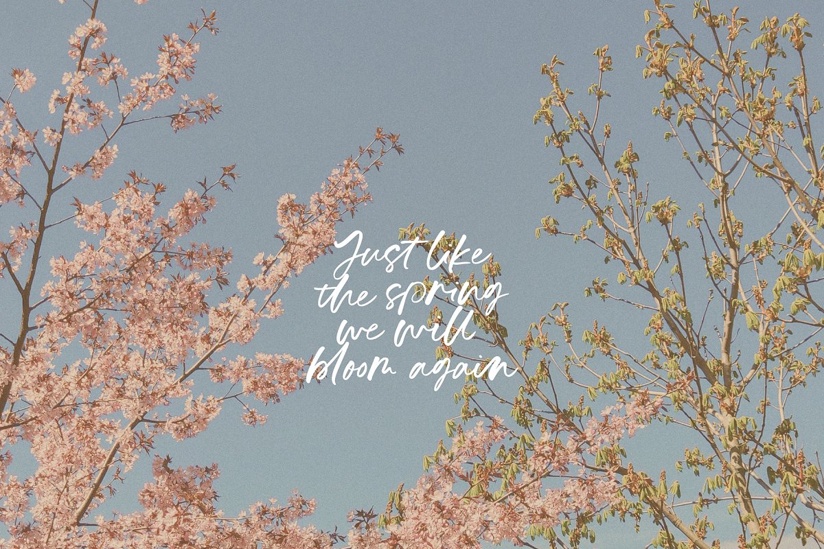 Galerie La Mess handwritten Font