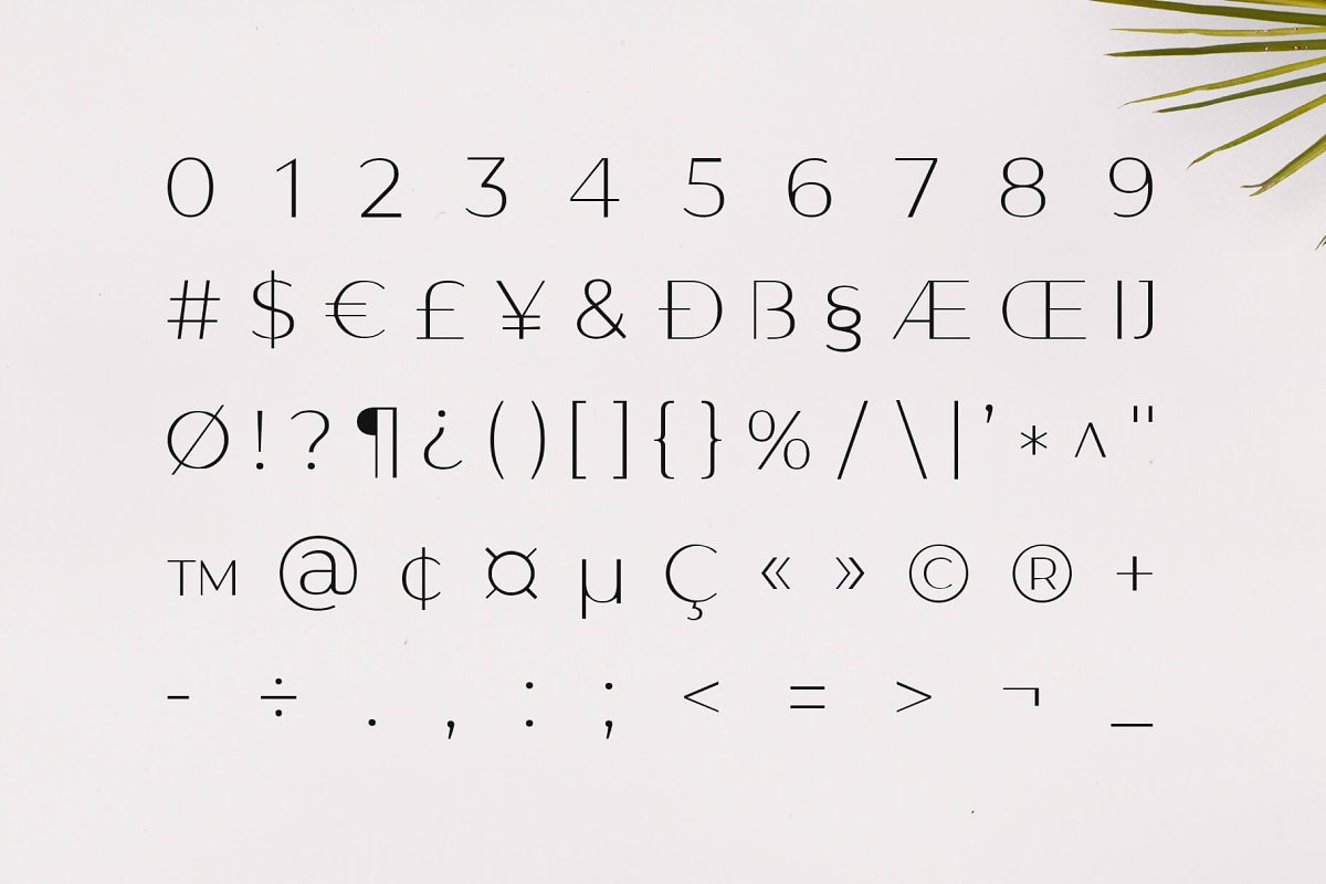 Gantic Family Sans Serif Font