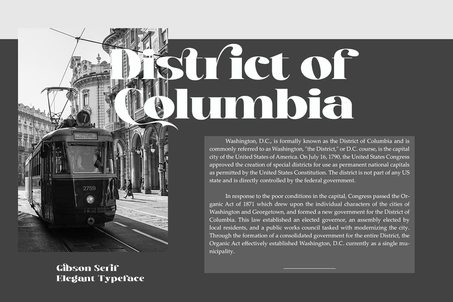 Gibson Serif Font Free Download