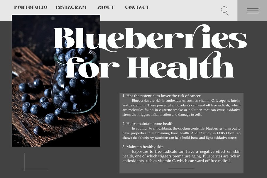 Gibson Serif Font Free Download