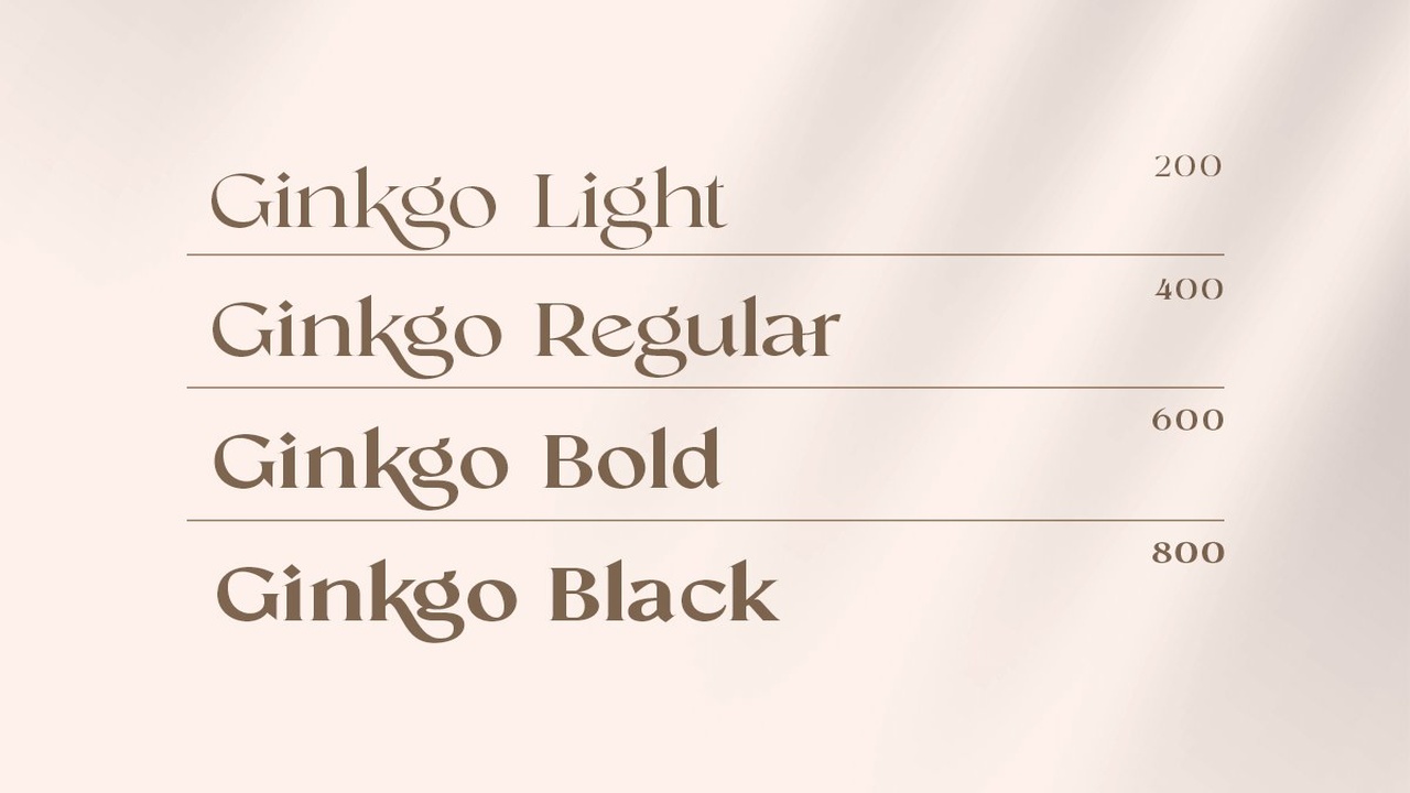 Ginkgo Modern Classy Serif Font