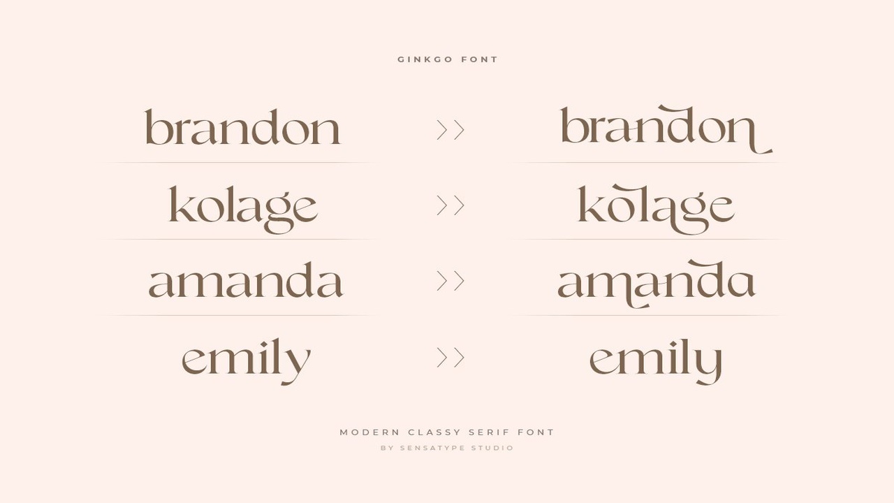 Ginkgo Modern Classy Serif Font
