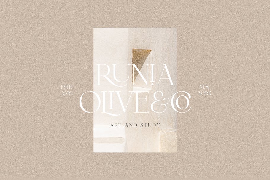 Griffin Modern Serif Font Free Download