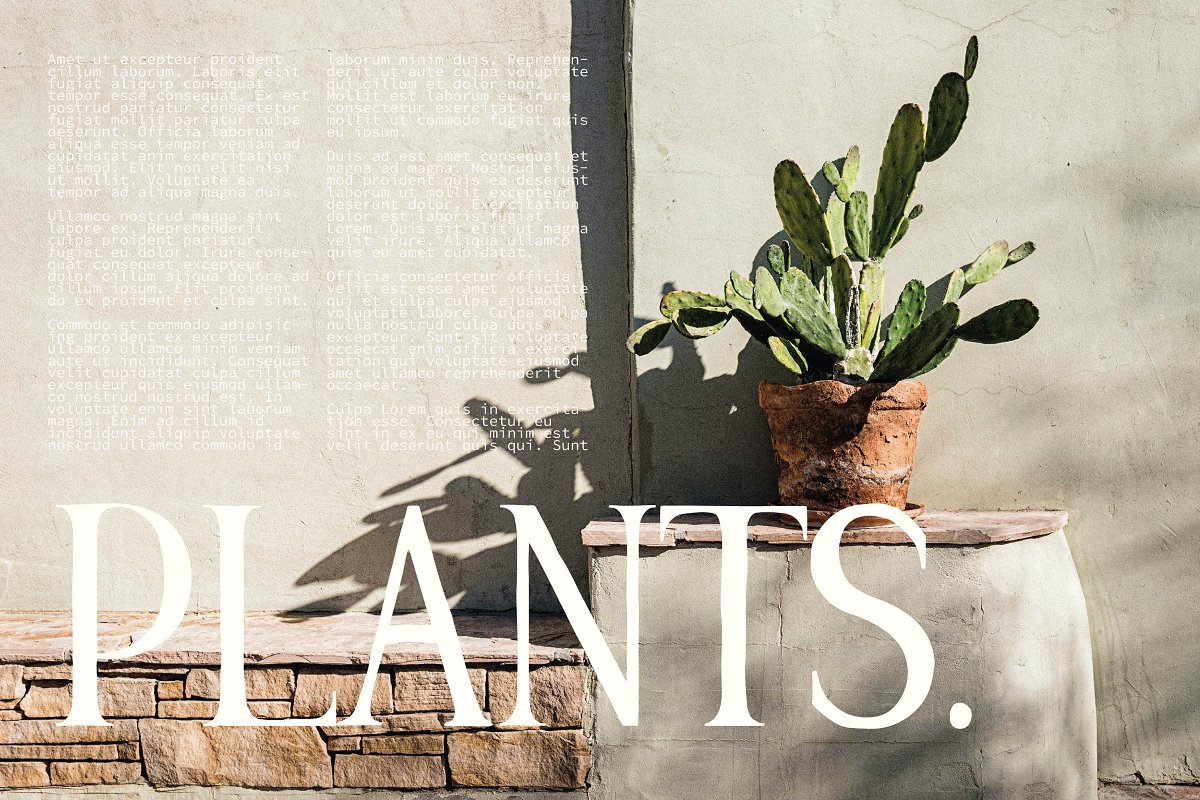 HANNAH CLAY handwritten serif Font