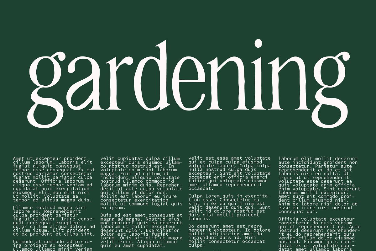 HANNAH CLAY handwritten serif Font