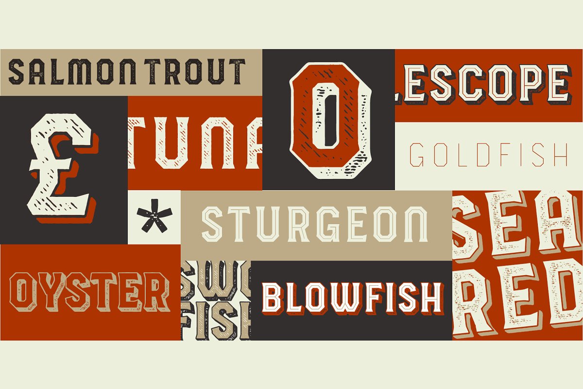 HAVARD DISPLAY SQUARED & LAYERED Font Free Download