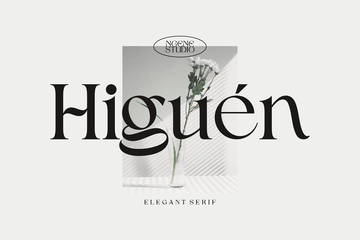 Higuen Elegant Serif Font Free Download