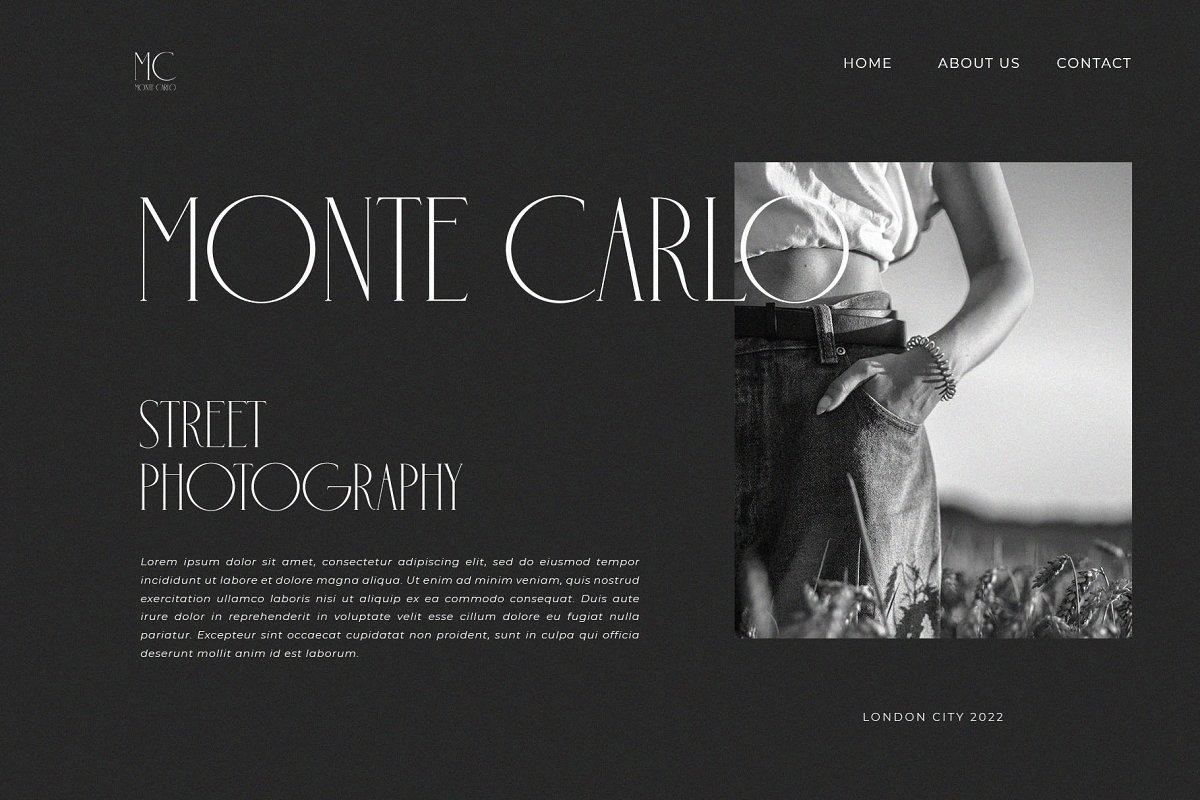 Holipop Modern Serif Font