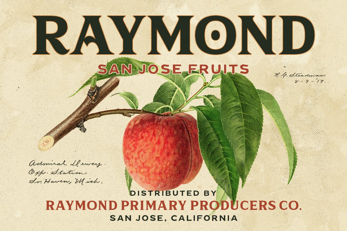 IC Grand Melton Display Typeface Font