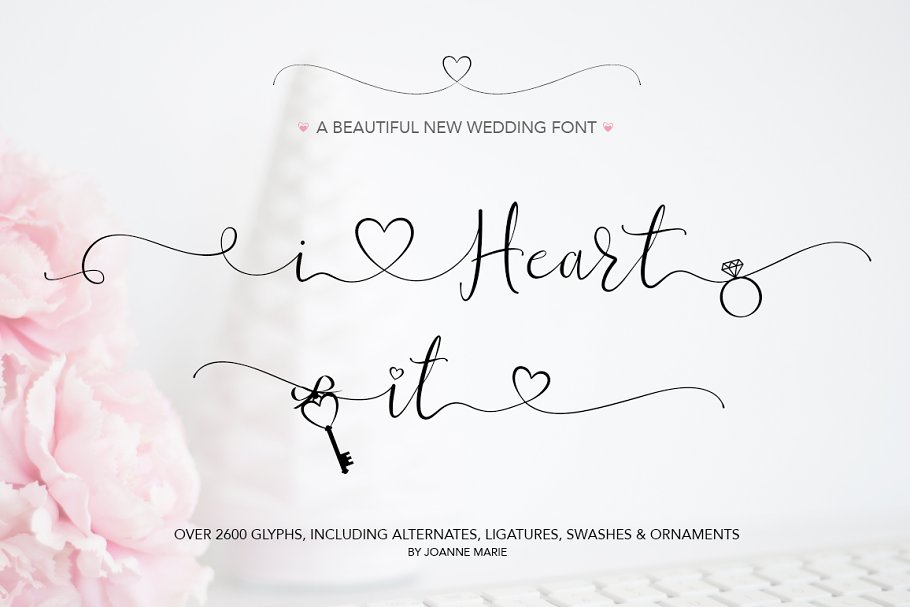 Joanne Marie Shop bundle Font