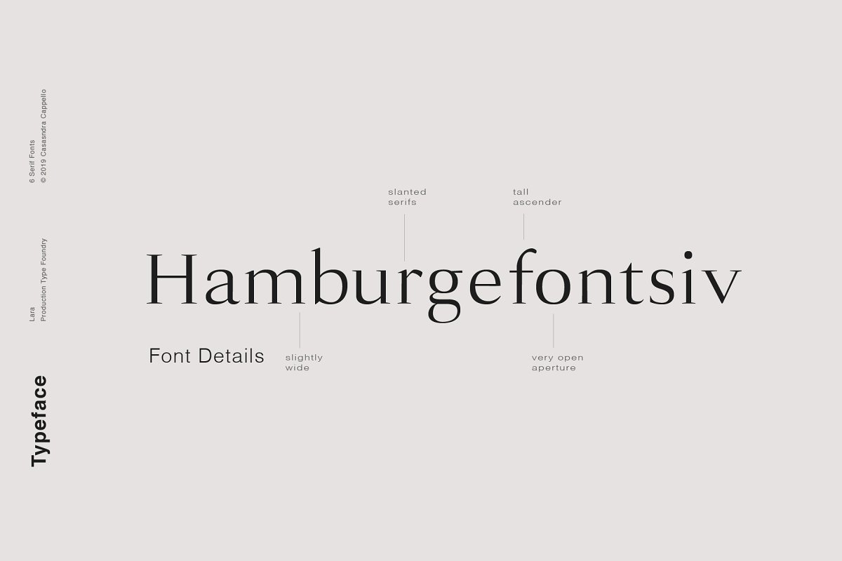 Lara Sophisticated Serif Typeface Font