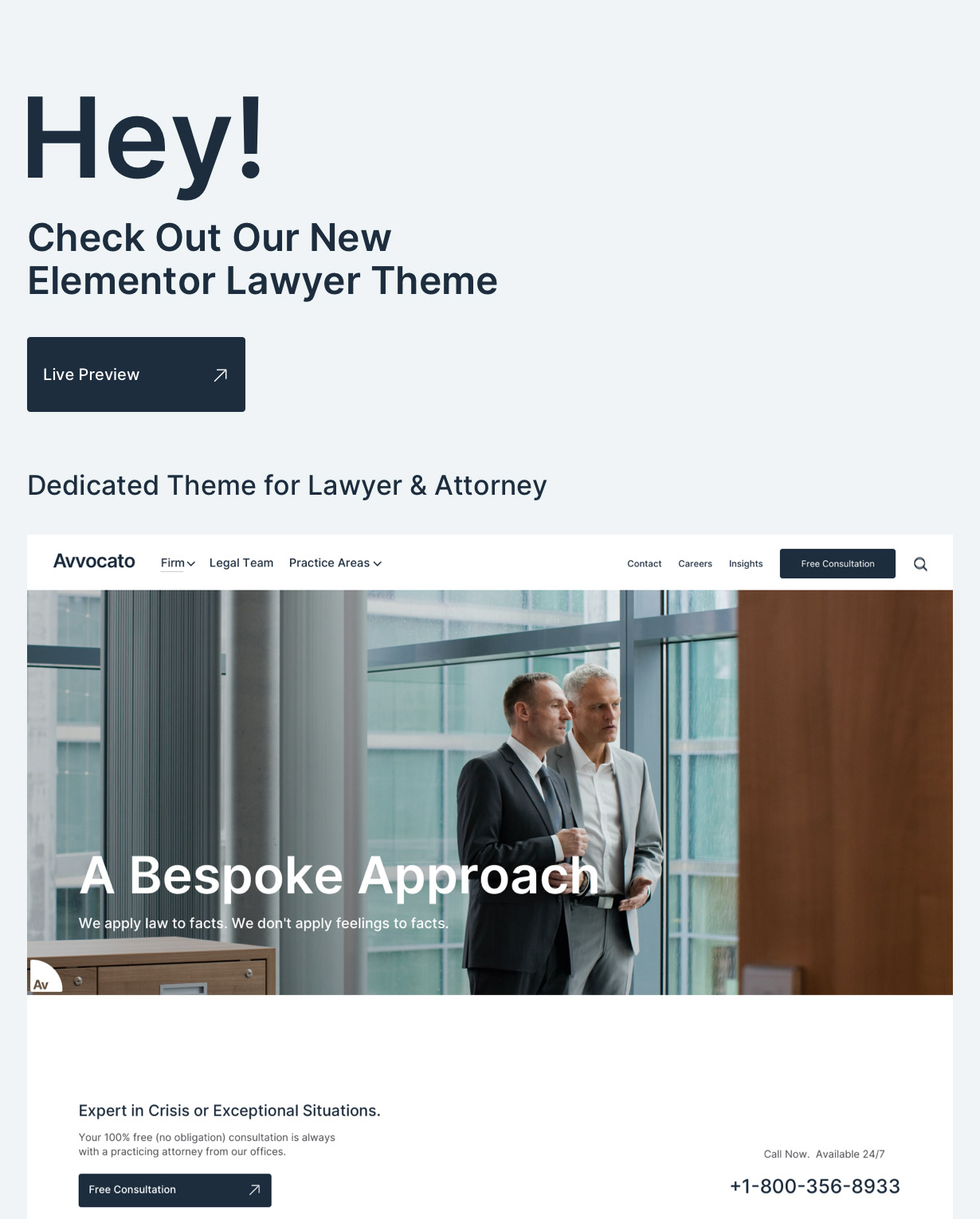 Lawyer