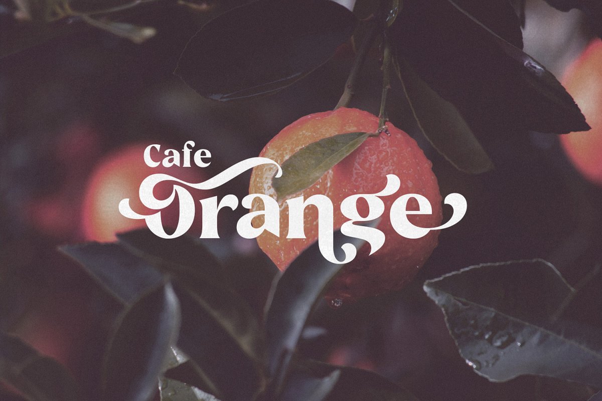 Losta Bonita   Modern Serif Family Font Free Download