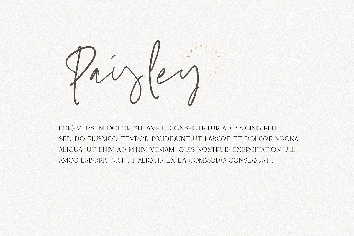 MARION The Essentials Logo Font