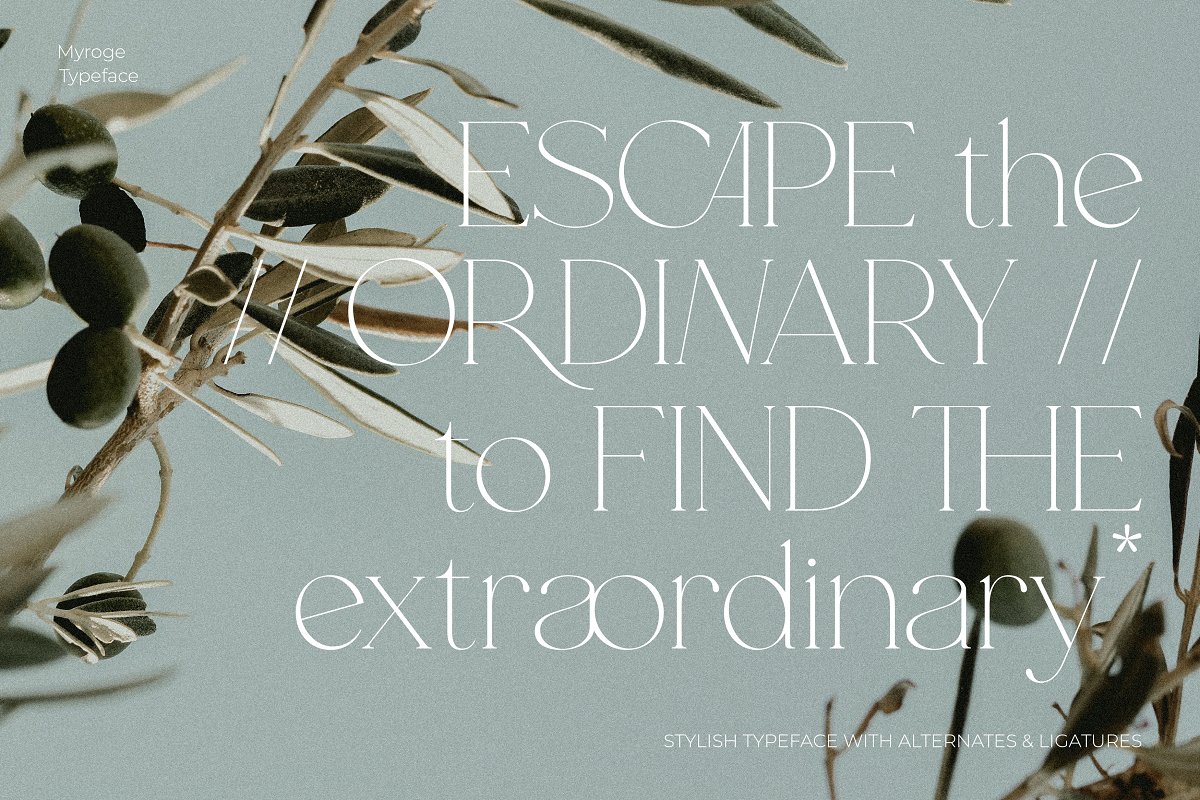 MYROGE elegant & stylish serif Font Free Download