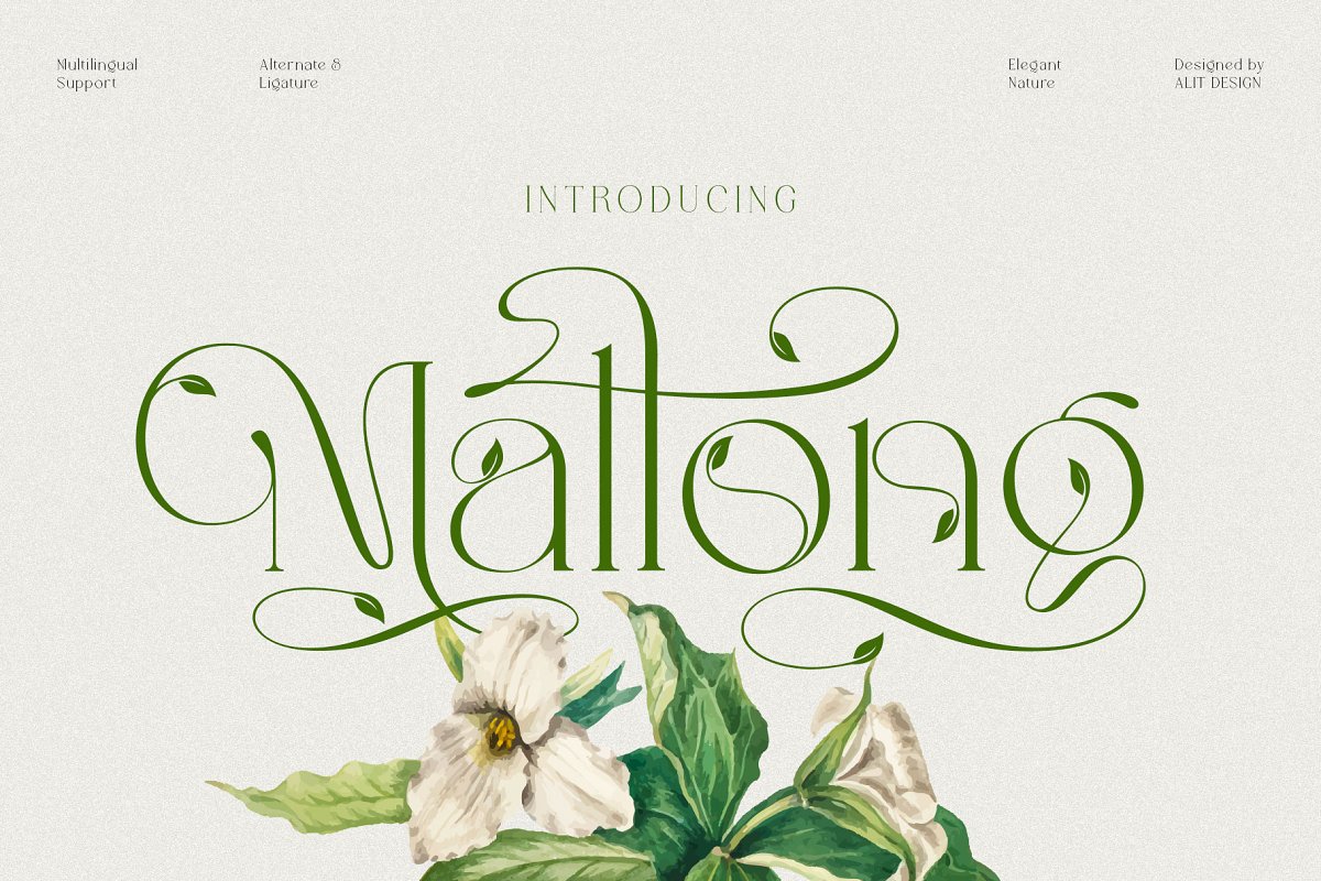 Mallong Typeface Font