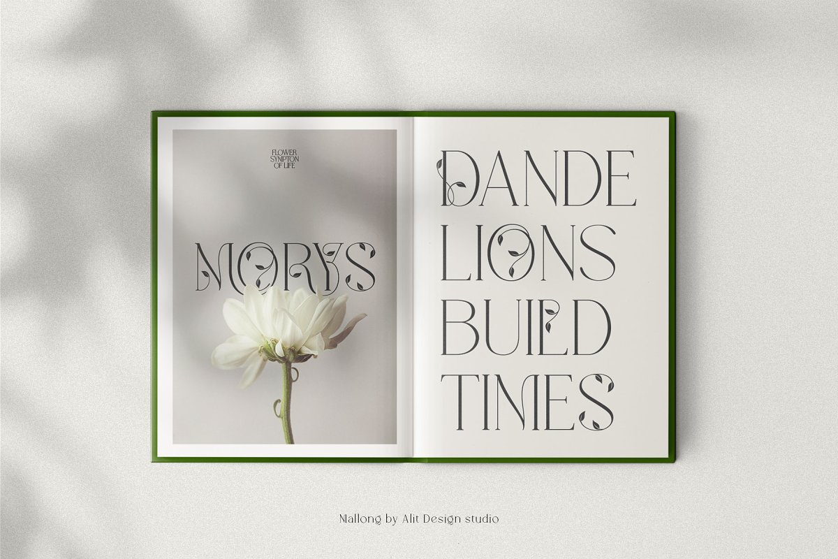 Mallong Typeface Font