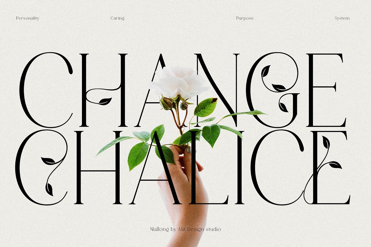 Mallong Typeface Font