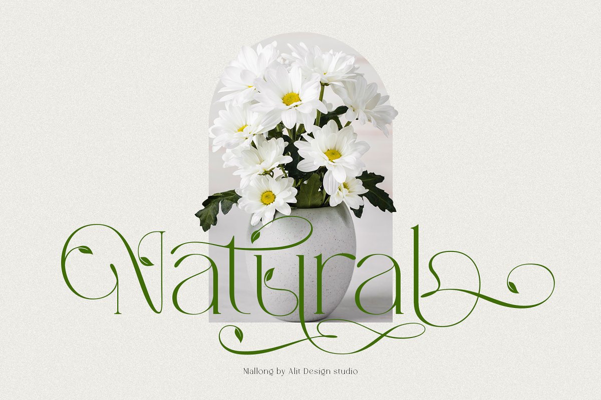 Mallong Typeface Font