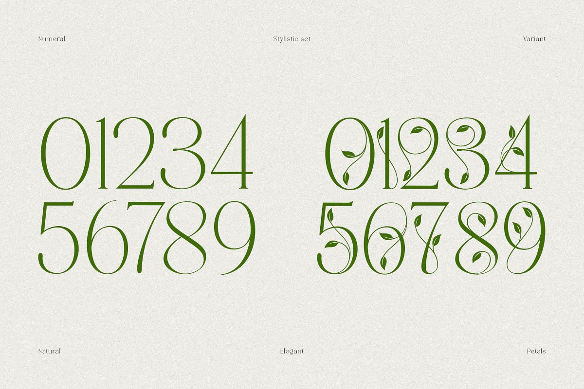 Mallong Typeface Font