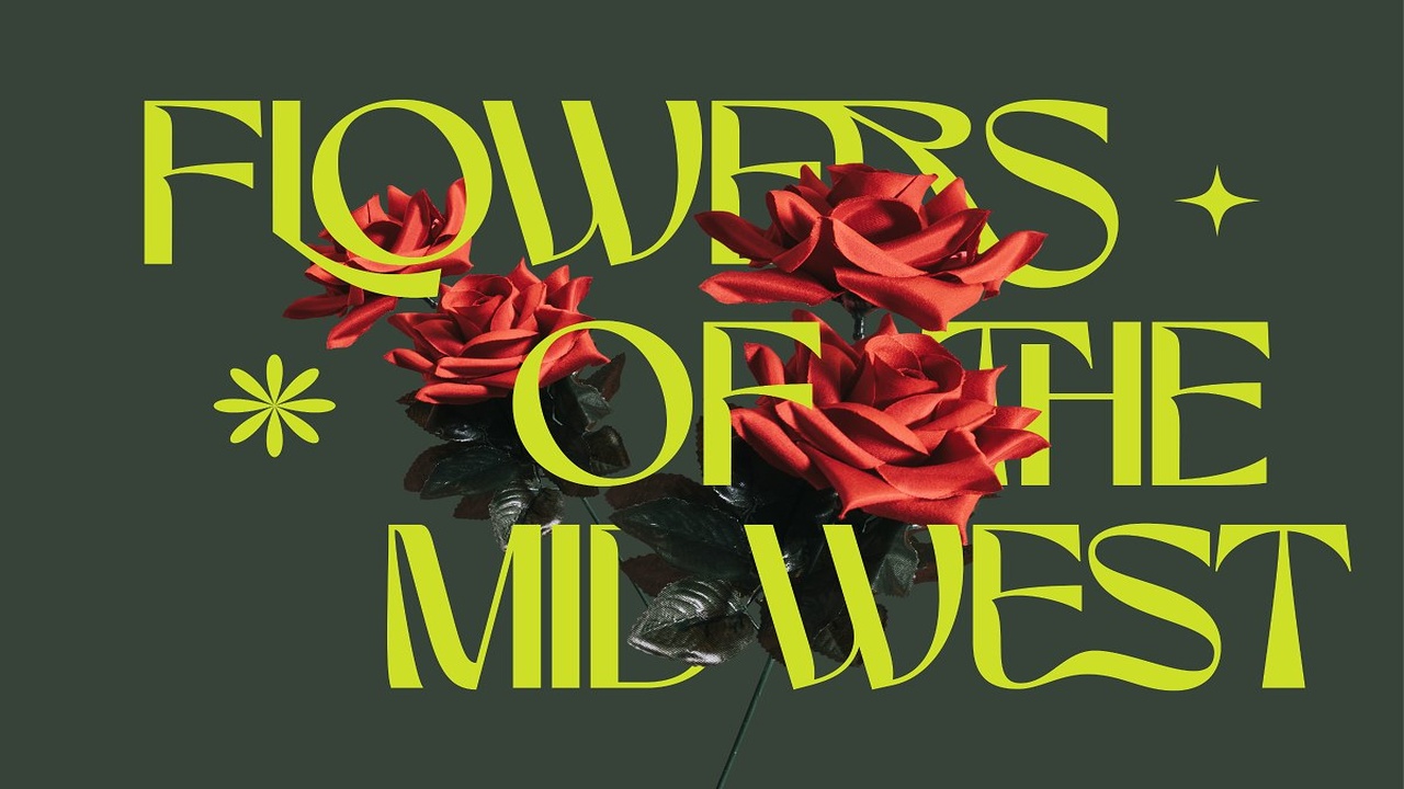 Marvio Modern Display Typeface Font