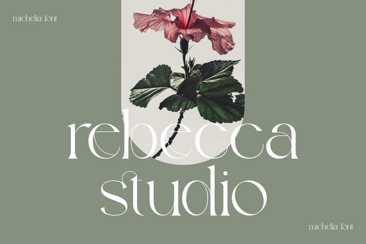 Michelia Modern Aesthetic Font