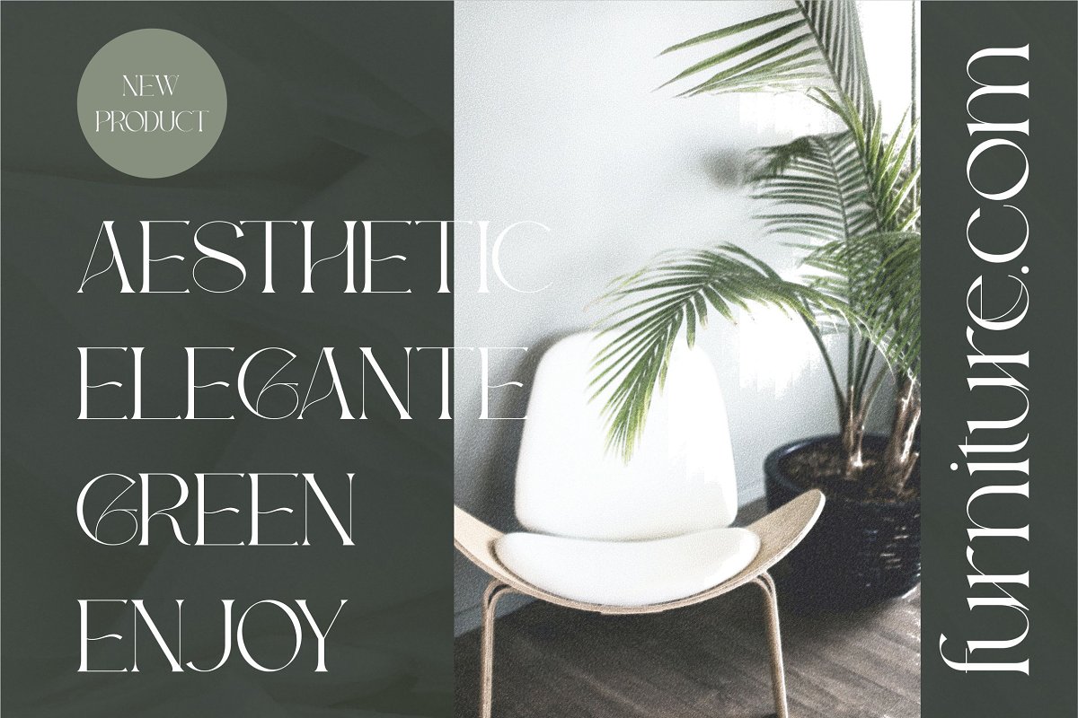 Michelia Modern Aesthetic Font