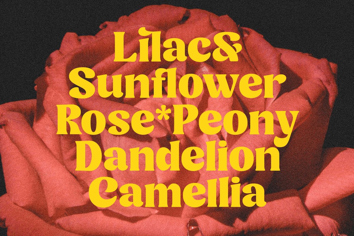 Minya Retro Outline Version Font