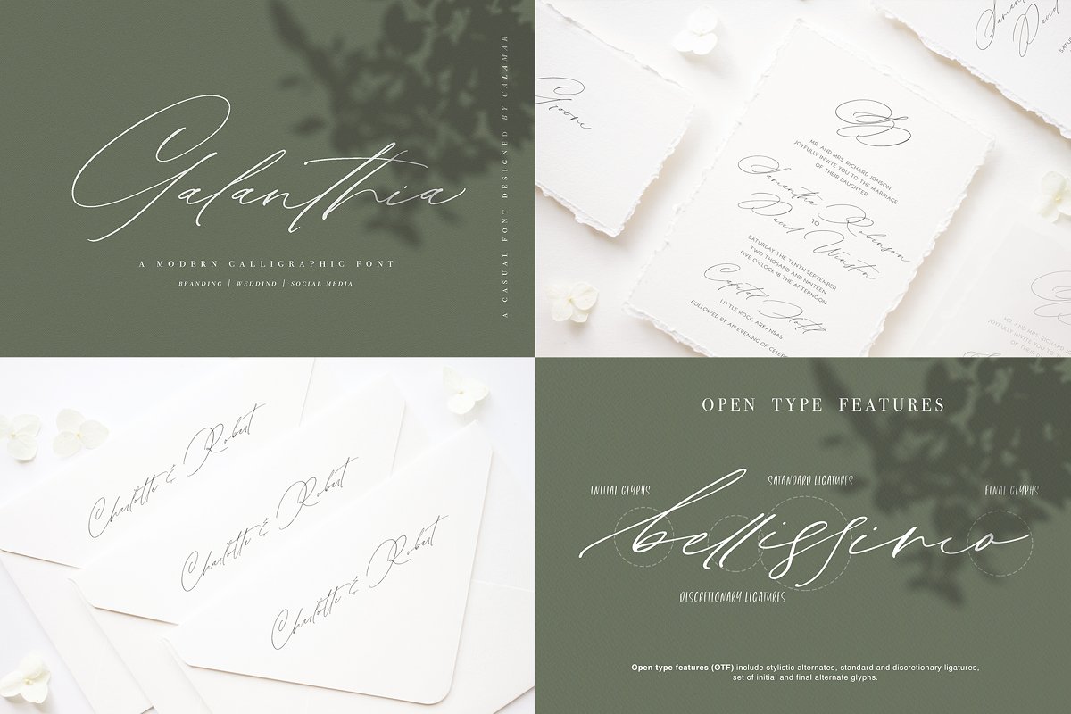 Modern Calligraphy Bundle Font