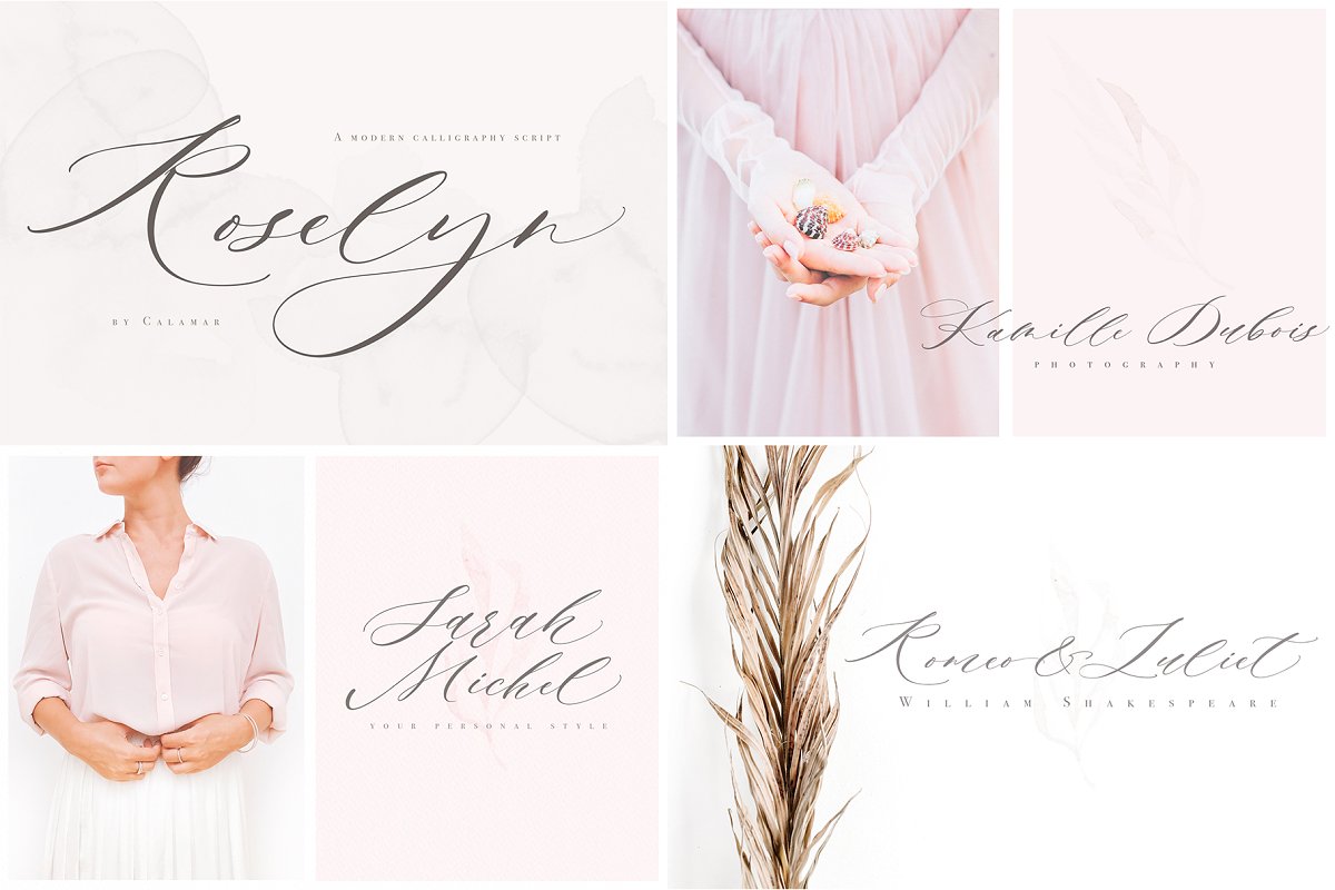 Modern Calligraphy Bundle Font