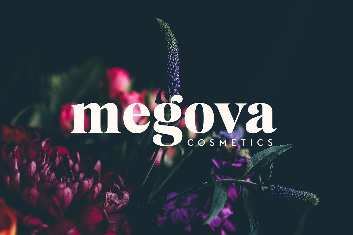 Mogan Serif Font + Extras Free Download