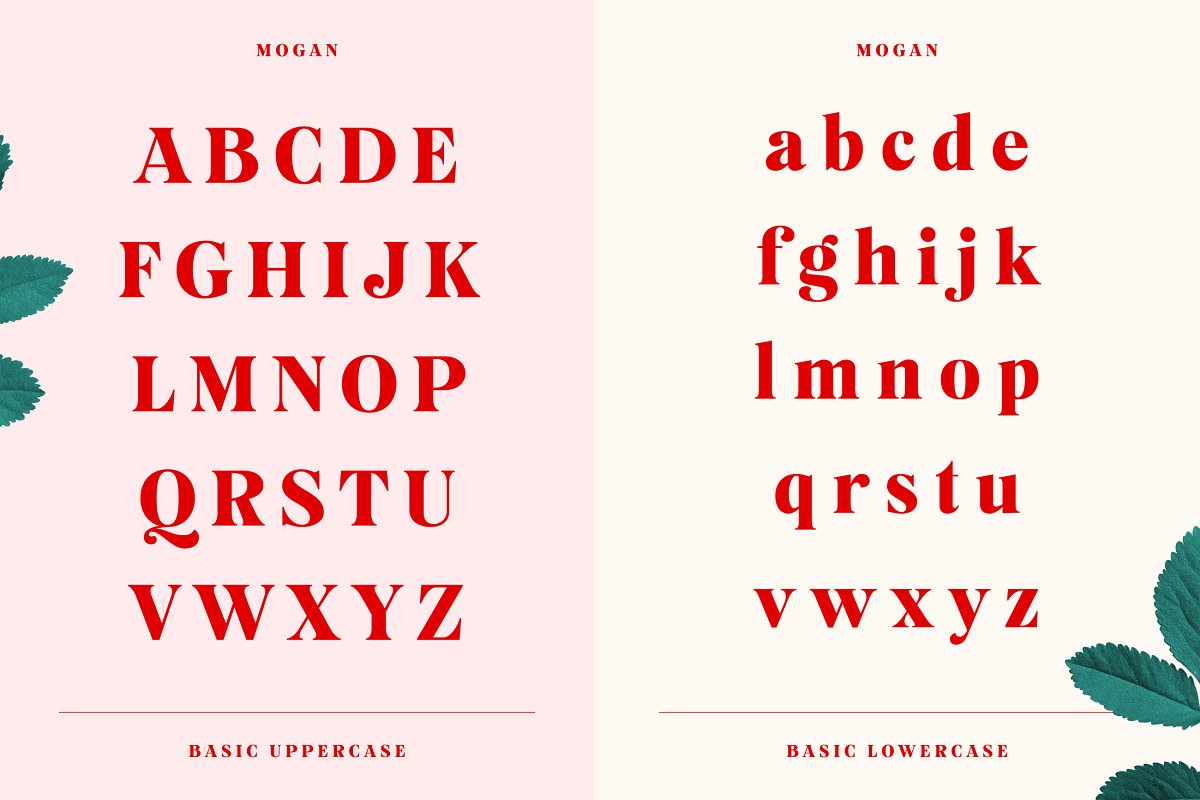 Mogan Serif Font + Extras Free Download