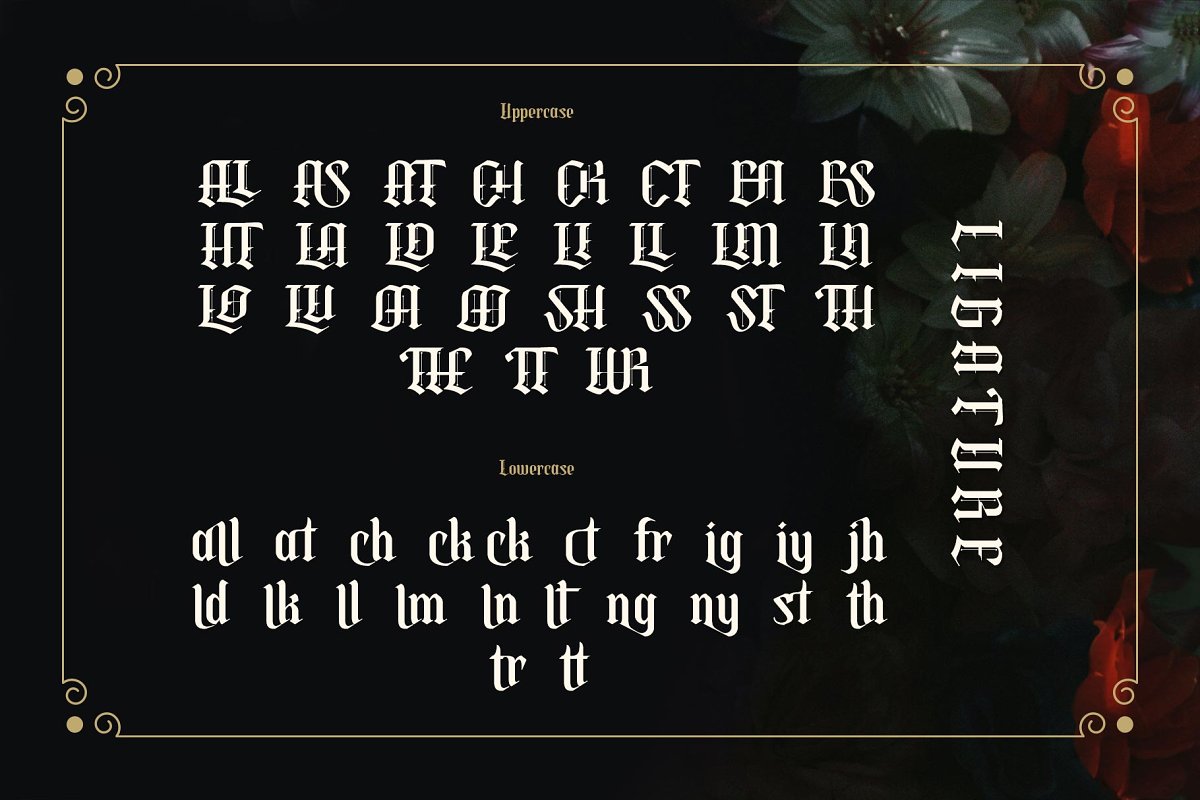 Mokgech Typeface Font