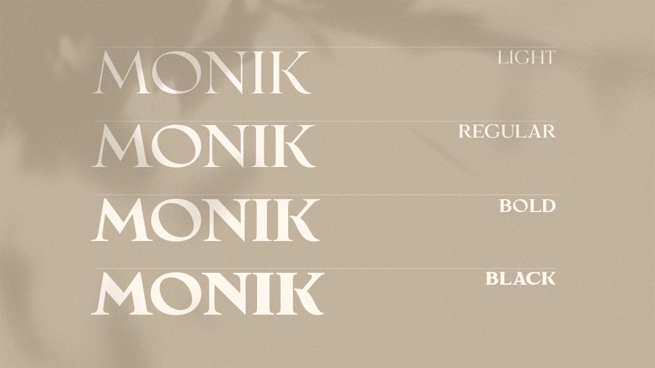 Monik Elegant Classy Font