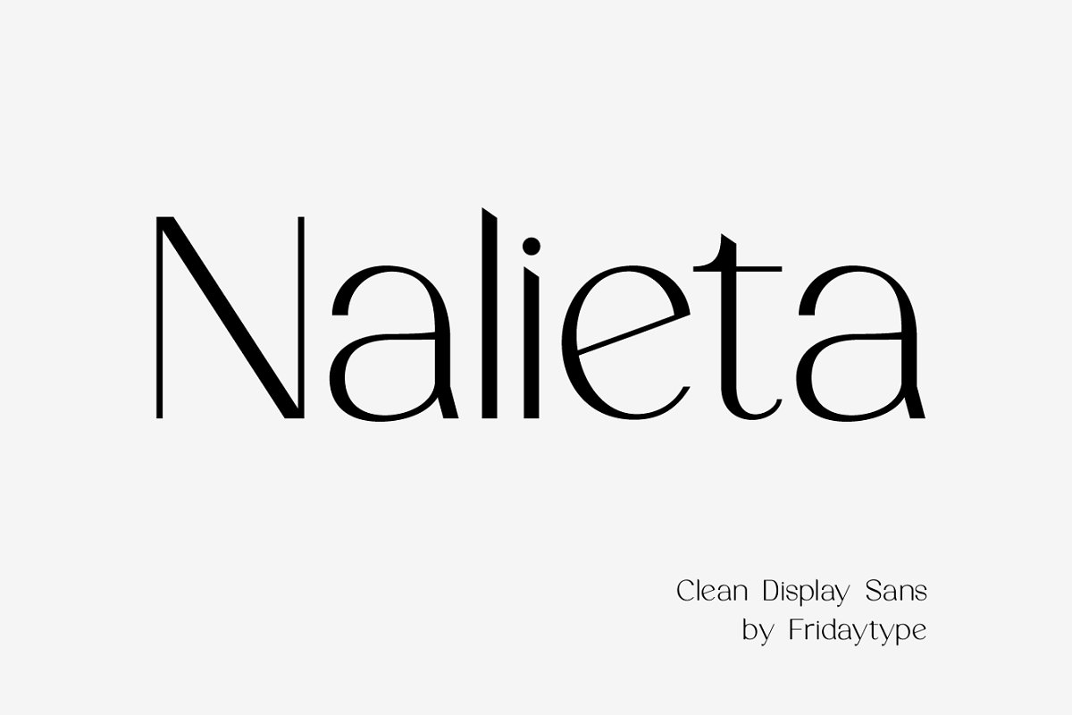 Nalieta   Clean Display Sans Font Free Download