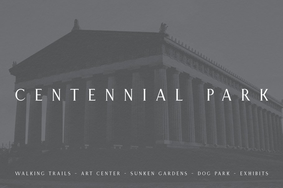 Nashville Elegant Serif Typeface Font