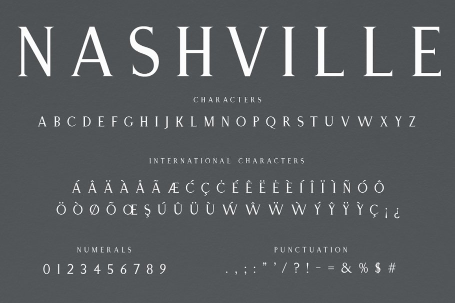 Nashville Elegant Serif Typeface Font