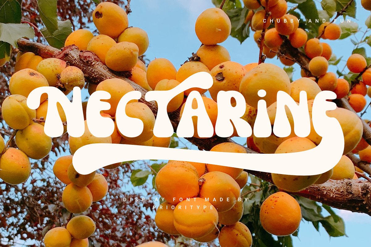 Nectarine   Display Font Free Download