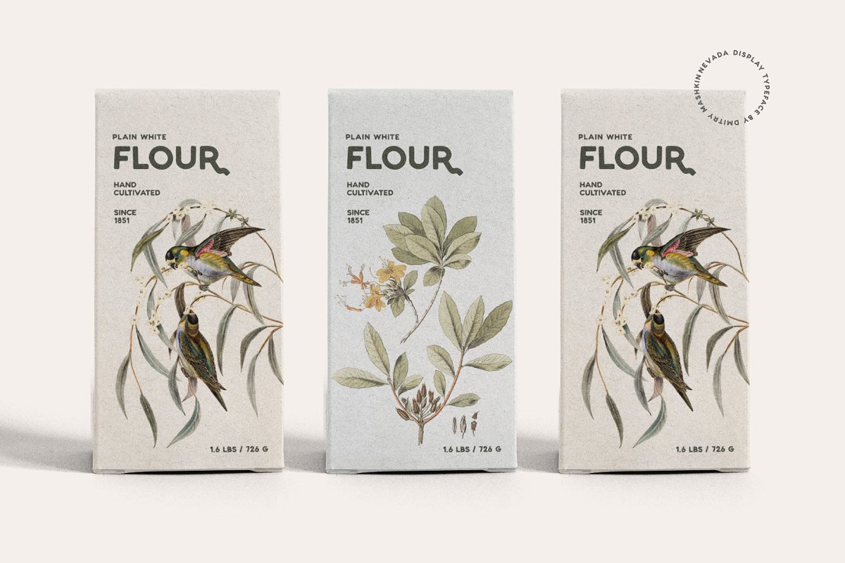 Nevada Retro Display Font Family Free Download Nevada Retro Display Font