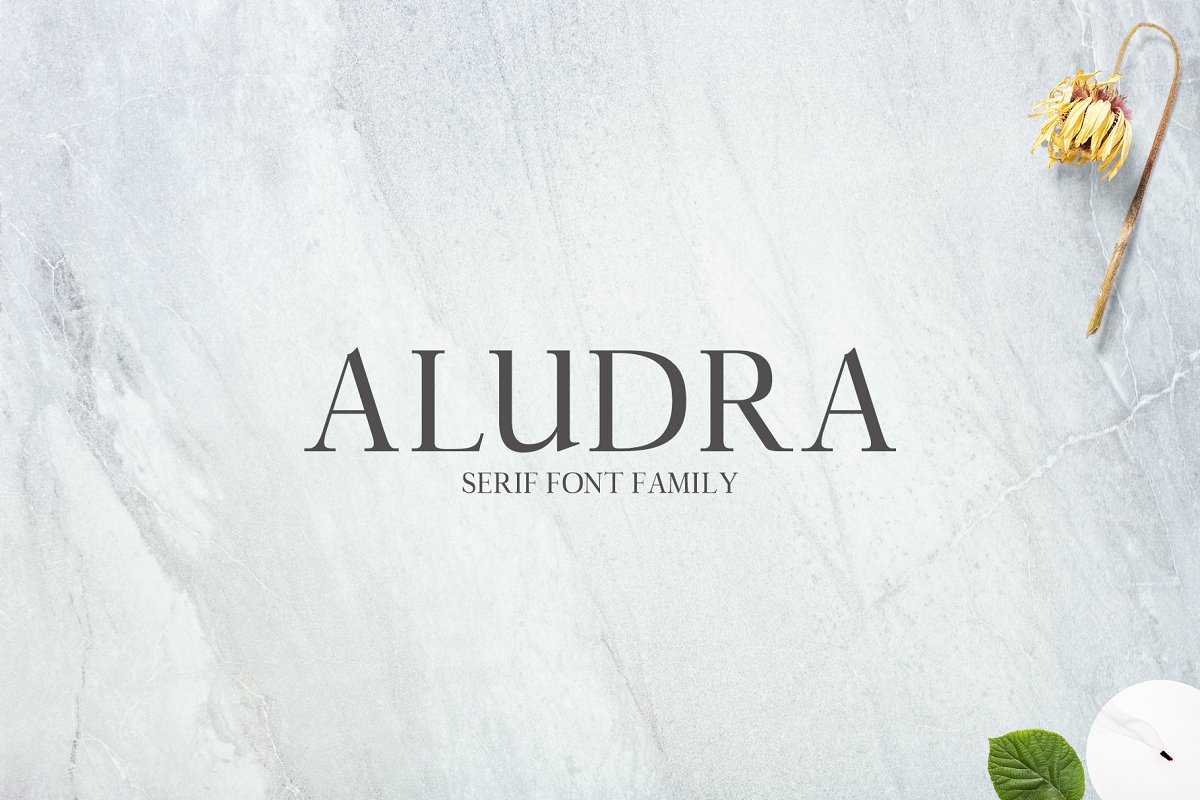 New Year Serif Bundle Font