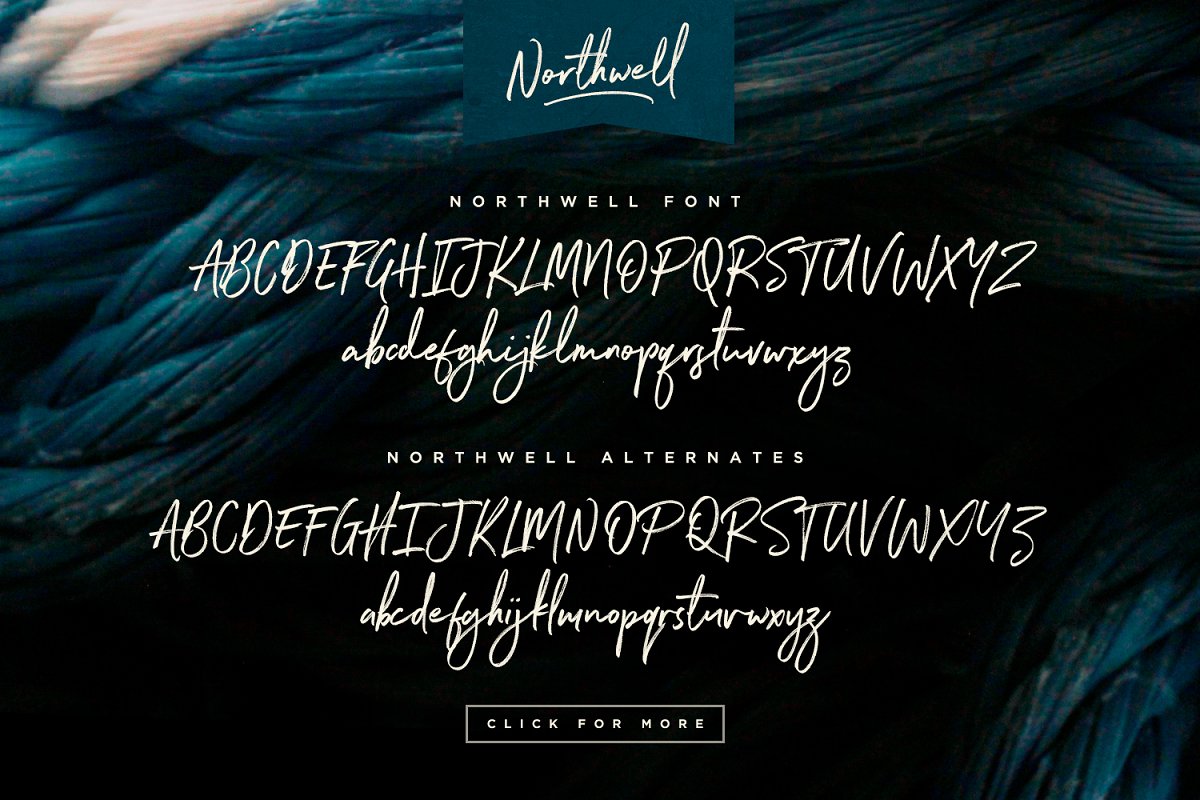 Northwell New Update Font