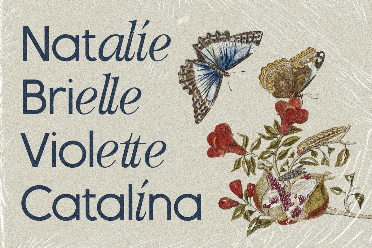 Officially Funky   Modern Font Duo Free Download