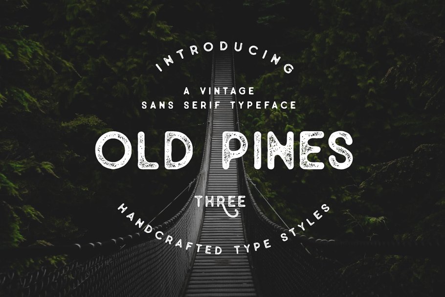 Old Pines Vintage Type Font