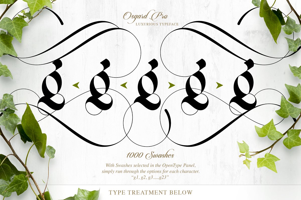 Osgard Pro Font Family Free Download Osgard Pro Font