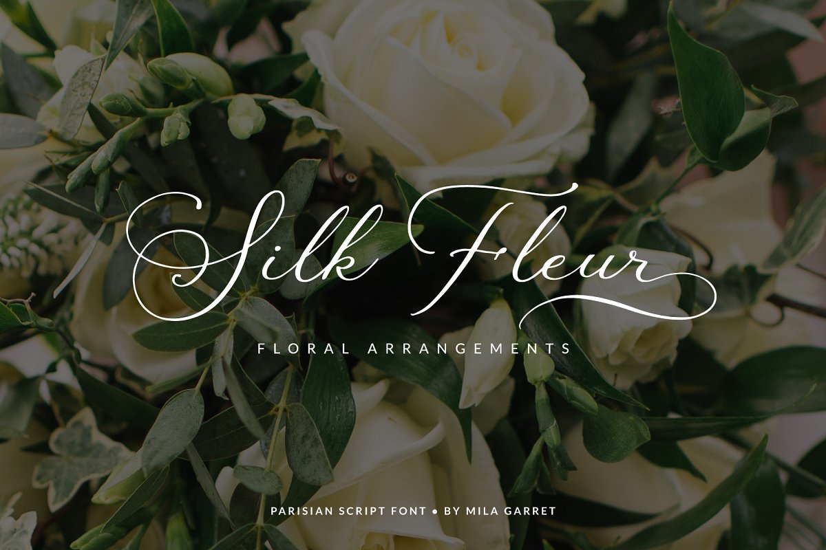 Parisian Vintage Calligraphy Script Font