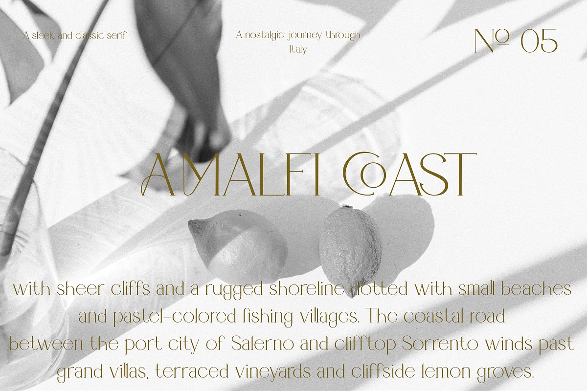 Portobello Display Ligature Font Free Download
