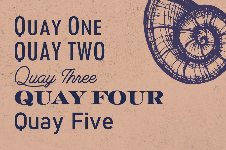 Quay Font Bundle & Bonus Logos Free Download