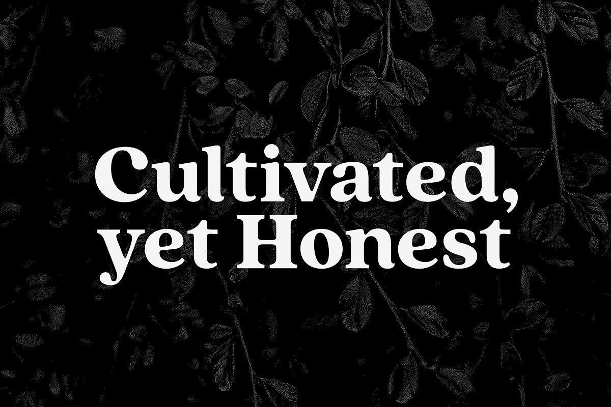 Quincy CF vintage serif family Font